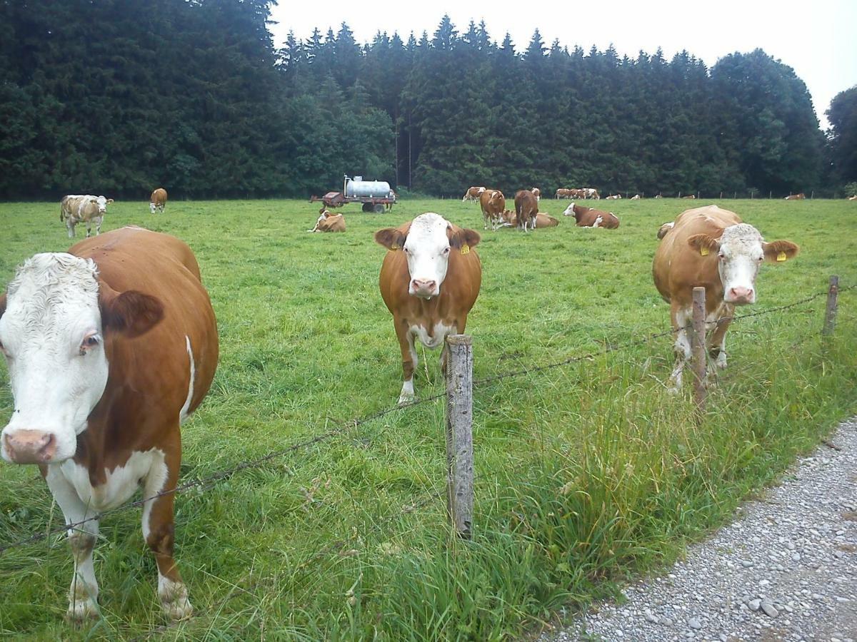 Ferienwohnung Auf Dem Lechsberg Fuchstal Bagian luar foto